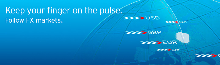 Currency risk